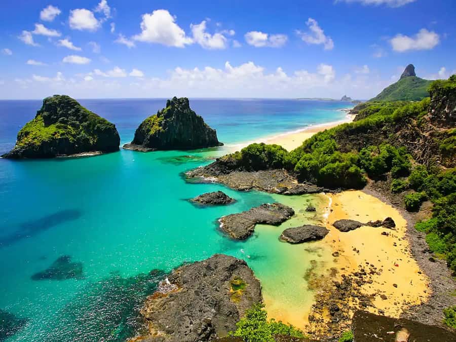Explore Fernando de Noronha: 7-Hour Ilhatour - Key things that make this tour worth your time