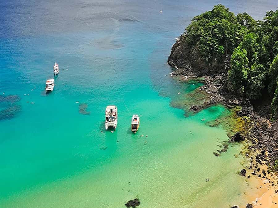 Explore Fernando de Noronha: 7-Hour Ilhatour - Pickup, transfers, and the 8:30 start to sunset finish