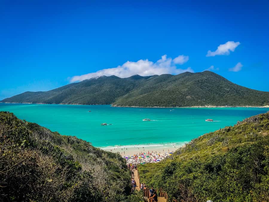 From Rio: Arraial do Cabo Day Trip with Boat Tour - Key Points to Know Before You Go