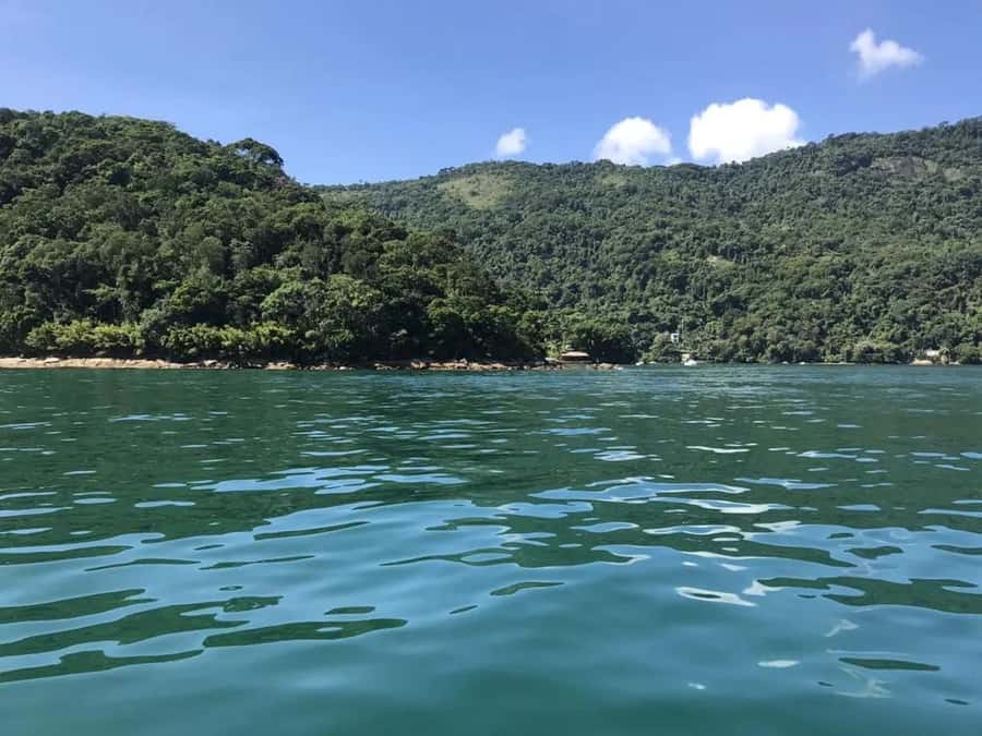 From Rio de Janeiro: Angra dos Reis & Ilha Grande Day Tour - Lunch at Praia de Japariz: good buffet food, late-day timing