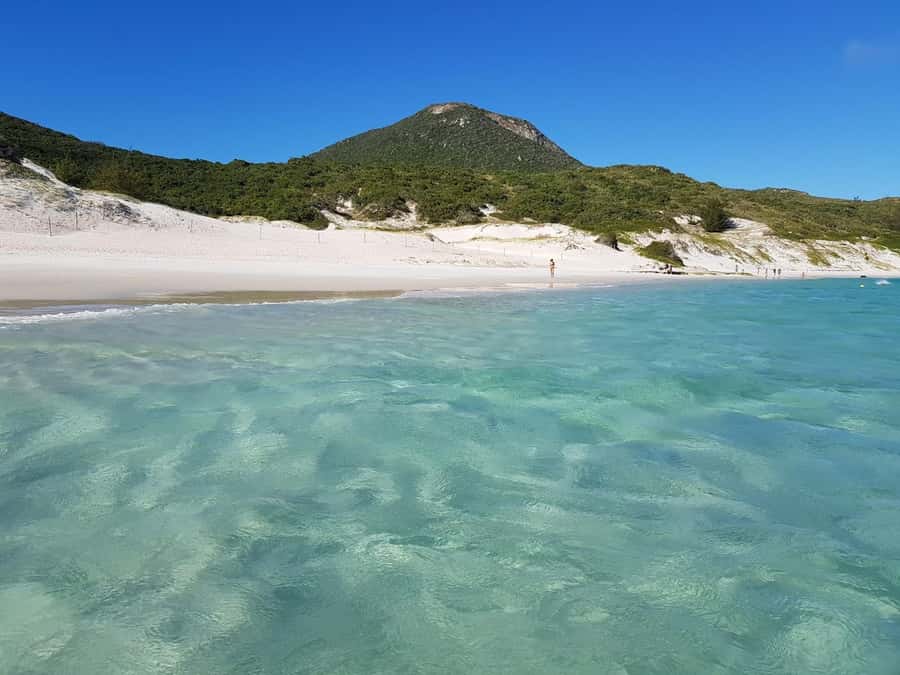 From Rio de Janeiro: Arraial do Cabo Island Day Trip - Praia do Forno and Ilha do Farol: where the day’s tone turns relaxed