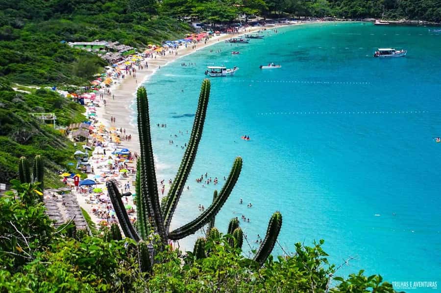 From Rio de Janeiro: Arraial do Cabo Island Day Trip - Who should book this Arraial do Cabo day trip from Rio