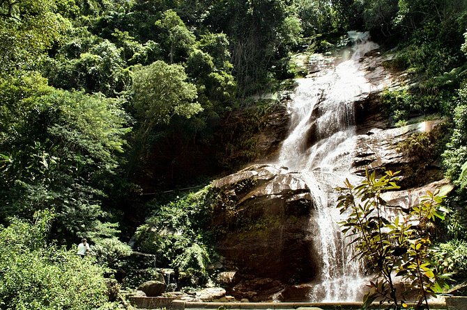 Jeep Adventure: Guided Tour through Tijuca Rain Forest - From Rio streets to rainforest air in minutes