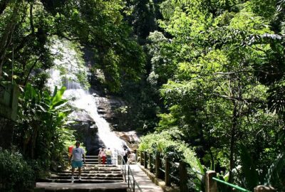 Jeep Adventure: Guided Tour through Tijuca Rain Forest - What you actually learn about Mata Atlântica and reforestation