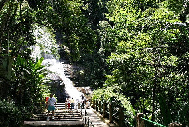 Jeep Adventure: Guided Tour through Tijuca Rain Forest - What you actually learn about Mata Atlântica and reforestation