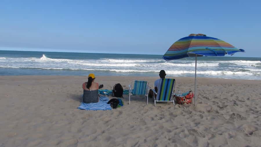 Pedra do Telégrafo Hike and Beach Full-Day Tour - Price and value: what $56 buys you in real life