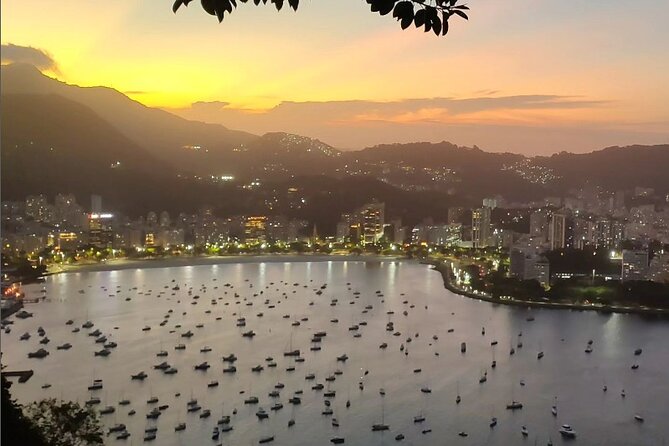 Private and Customizable Tour in Rio de Janeiro - The guide experience: you want clear English and smart logistics