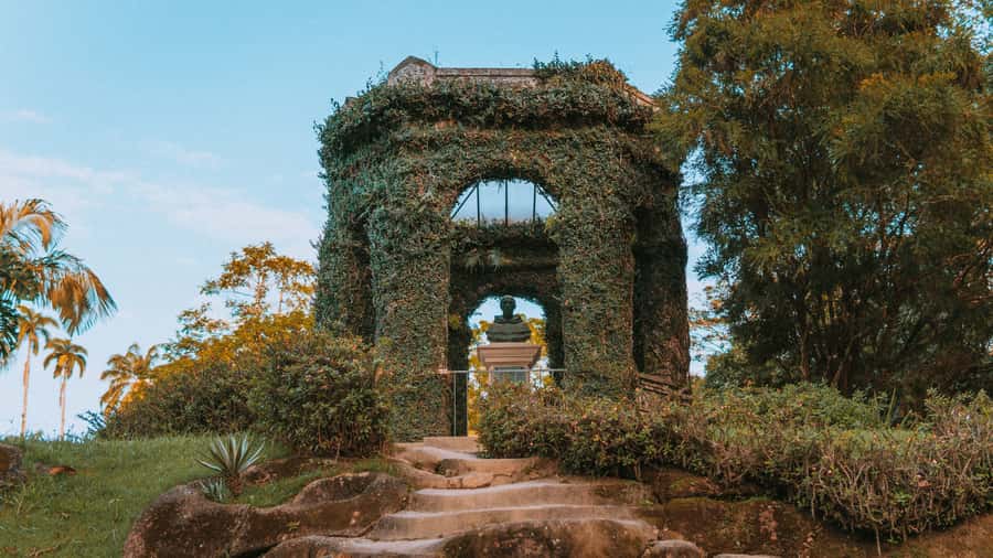 Rio de Janeiro: 4-Hour Botanical Garden & Tijuca Forest Tour - Key things to look forward to