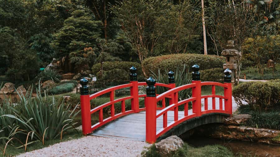 Rio de Janeiro: 4-Hour Botanical Garden & Tijuca Forest Tour - Price and Value: Why $51 Makes Sense for This Combo