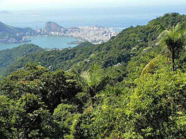 Rio de Janeiro Botanical Garden & Tijuca Forest Tour - Key things I’d circle before you go