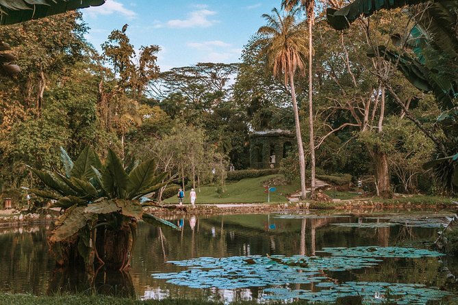 Rio de Janeiro Botanical Garden & Tijuca Forest Tour - Botanical Garden hour: what you’ll actually see and why it works