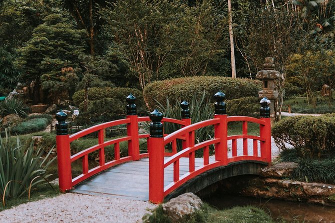 Rio de Janeiro Botanical Garden & Tijuca Forest Tour - The guide: what to expect from the storytelling