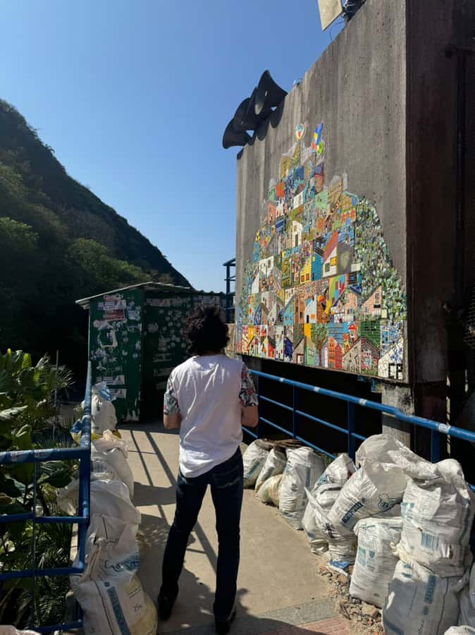Rio de Janeiro: Favela Santa Marta Top Tour with Local Guide - Santa Marta, explained by people who actually live there