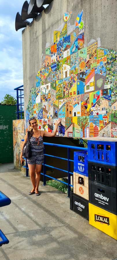 Rio de Janeiro: Favela Santa Marta Tour with Resident Guide - Walking Santa Marta: photo stops, community spaces, and daily life
