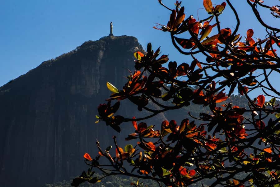 Rio de Janeiro: Guided Bike Tours in Small Groups - Choose Your Perfect Route Length: 3 hours, 4 hours, or 7 hours
