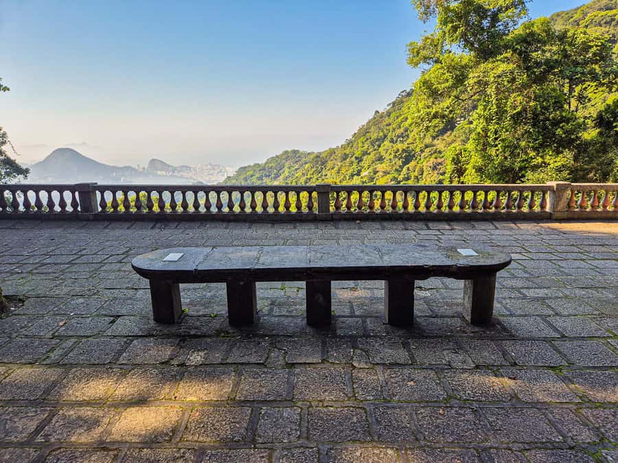 Rio de Janeiro: Guided Jeep Tour through Tijuca Rainforest - Photo strategy: how to get the shots without speeding through