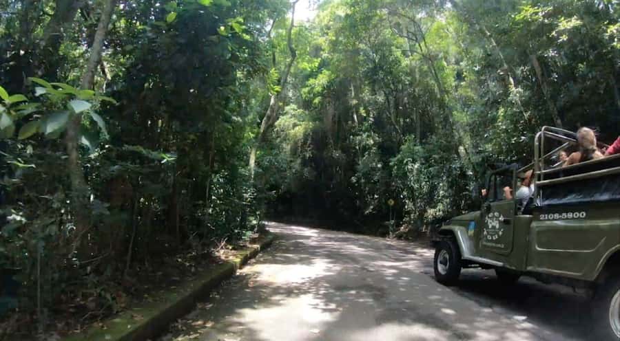 Rio de Janeiro: Jeep Tour in the Tijuca Forest - Vista Chinesa Photo Stop: Where the City and Rainforest Share a Frame