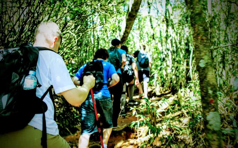 Rio de Janeiro: Tijuca Forest Challenge Hike Full-Day Trip - Vista Chinesa on working days: a bonus viewpoint