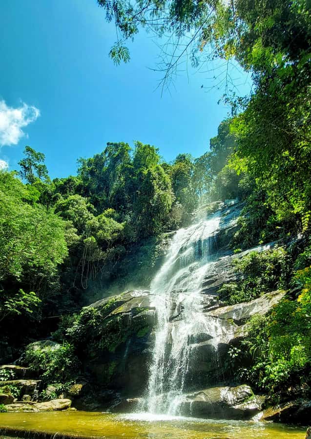 Rio de Janeiro: Tijuca Forest Challenge Hike Full-Day Trip - First steps: Cascatinha Taunay, then into Tijuca National Park