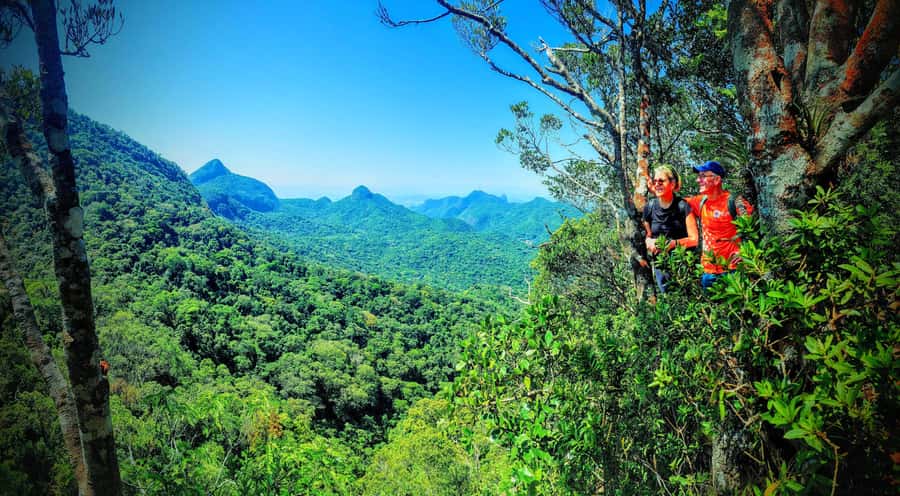Rio de Janeiro: Tijuca Forest Challenge Hike Full-Day Trip - Coffee farm ruins and the trail that feels almost off-limits