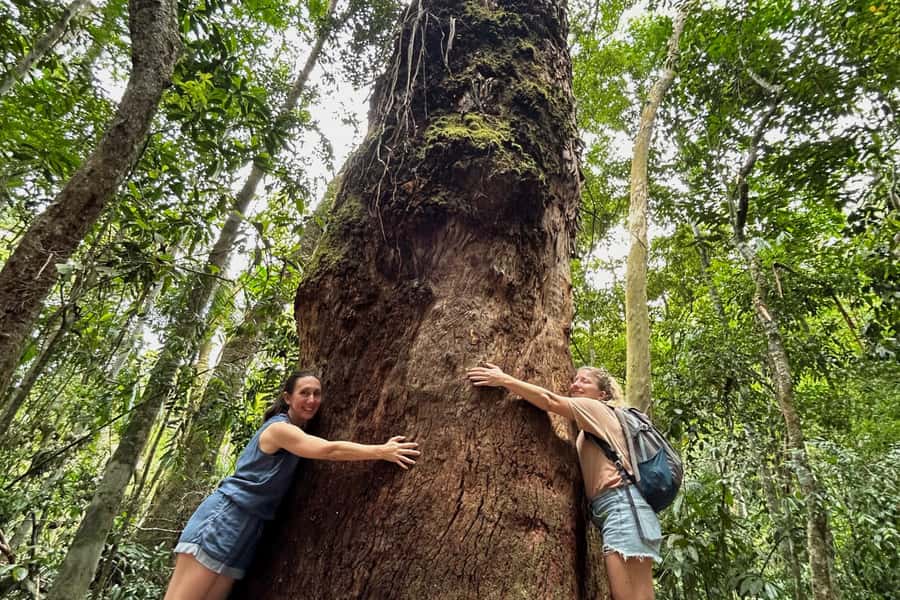 Rio de Janeiro: Tijuca National Park Tour - Key points you’ll care about before you go