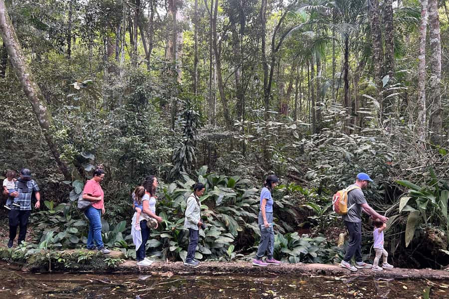 Rio de Janeiro: Tijuca National Park Tour - Viewpoints on the drive: your first taste of the Rio-forest contrast