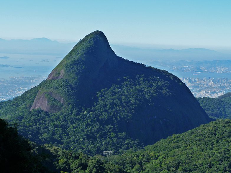 Rio de Janeiro: Tijuca Peak Guided Hike - Tijuca National Park: why this hike feels like a real escape