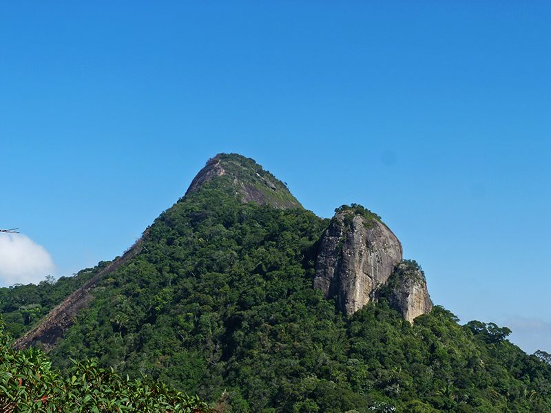 Rio de Janeiro: Tijuca Peak Guided Hike - Tijuca Mirim viewpoints: where Rio suddenly makes sense