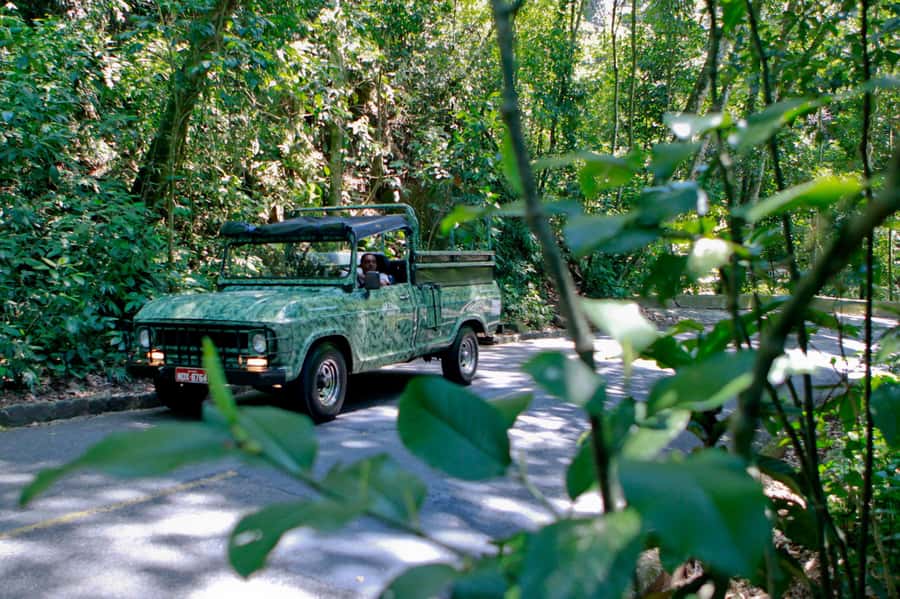 Rio: Half-Day Jeep Tour at Floresta da Tijuca - Vista Chinesa: a monument stop with big mountain angles