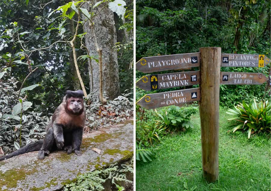 Rio: Half-Day Jeep Tour at Floresta da Tijuca - Cascatinha Visconde de Taunay waterfall dip: refreshing, but weather-sensitive