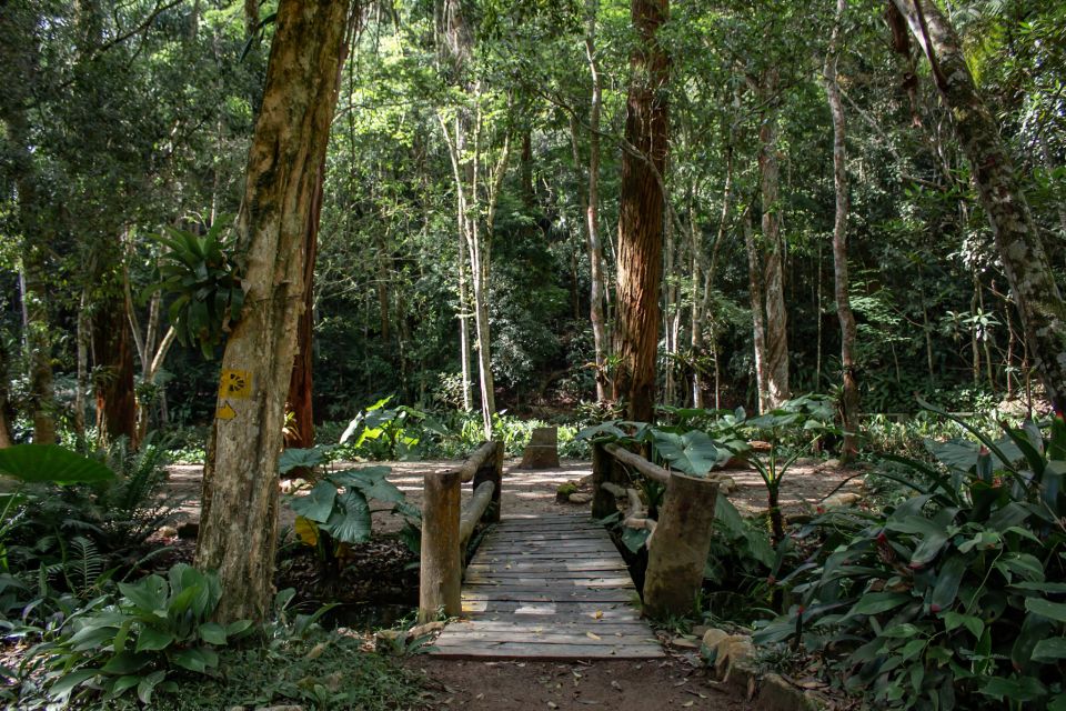 Rio: Half-Day Jeep Tour at Floresta da Tijuca - Capela Mayrink (1855) and the two easy trails through Atlantic Forest