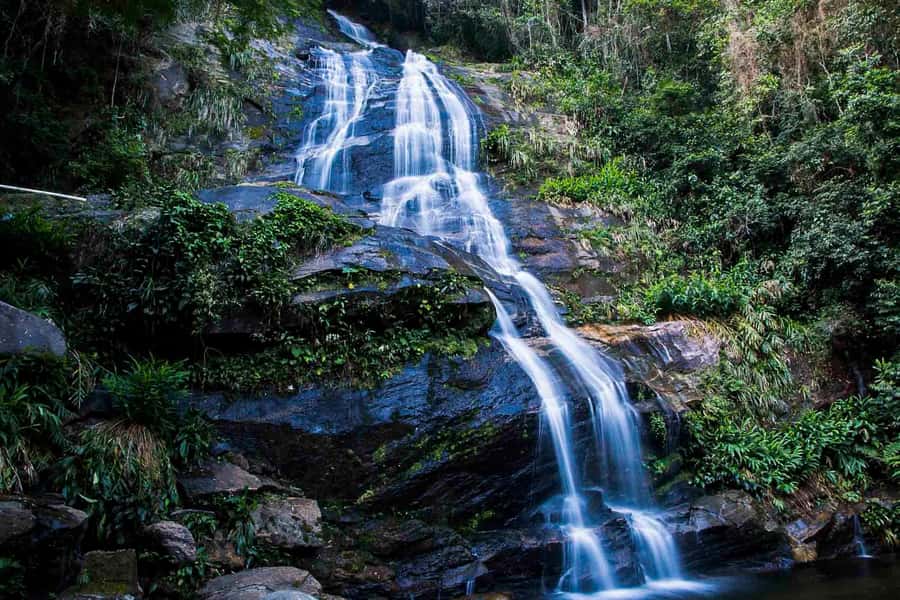 Rio: Half-Day Jeep Tour at Floresta da Tijuca - The guide-driver duo: why the tour feels smooth