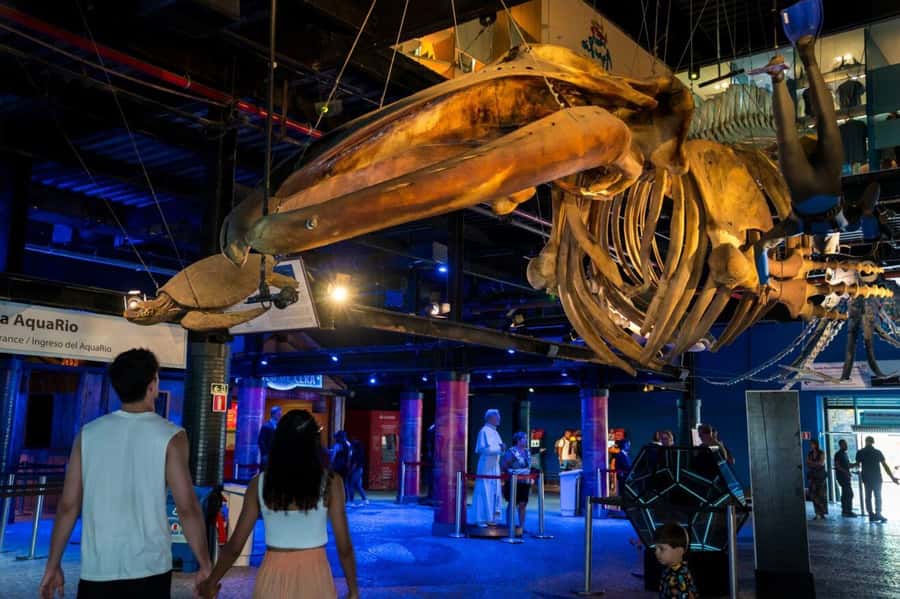 Rio: Olympic Boulevard, AquaRio and Museum of Tomorrow Tour - FAQ