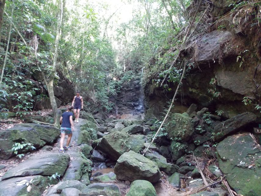 Rio: Tijuca Forest & Horto Waterfalls Circuit Tour - Key Highlights Worth Planning For