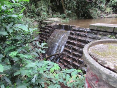 Rio: Tijuca Forest & Horto Waterfalls Circuit Tour - Entering Tijuca National Park: The Horto Trail Feel