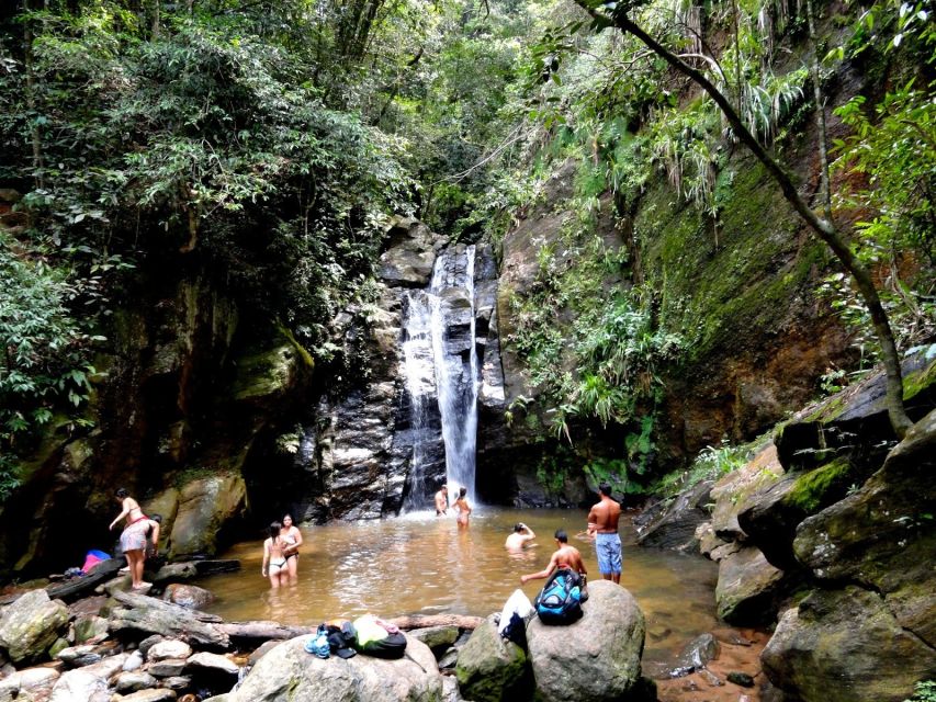 Rio: Tijuca Forest & Horto Waterfalls Circuit Tour - Cachoeira do Chuveiro: The Natural Shower and the Box Waterfall