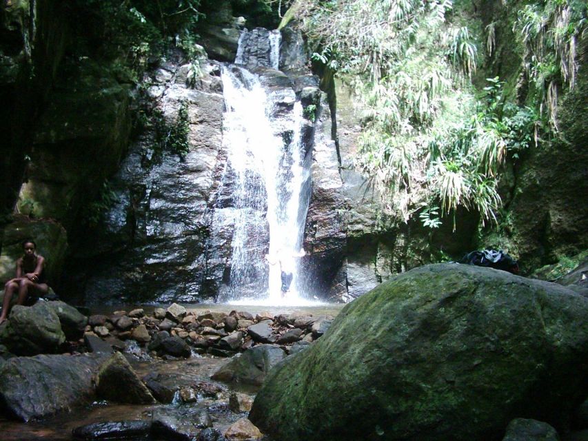 Rio: Tijuca Forest & Horto Waterfalls Circuit Tour - Value in Dollars: Is $56 Worth It in Rio?