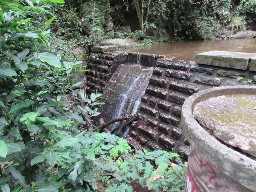 Rio: Tijuca Forest & Horto Waterfalls Circuit Tour - Entering Tijuca National Park: The Horto Trail Feel