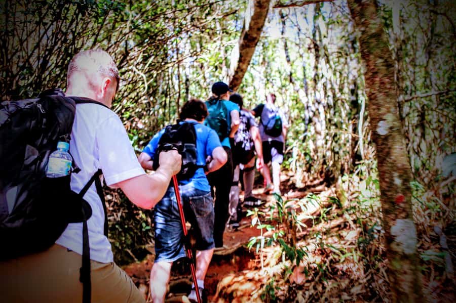 Rio: Tijuca Forest Small Group Hike to Caves and Waterfalls - Mayrink Chapel (1850): history in the middle of the trees