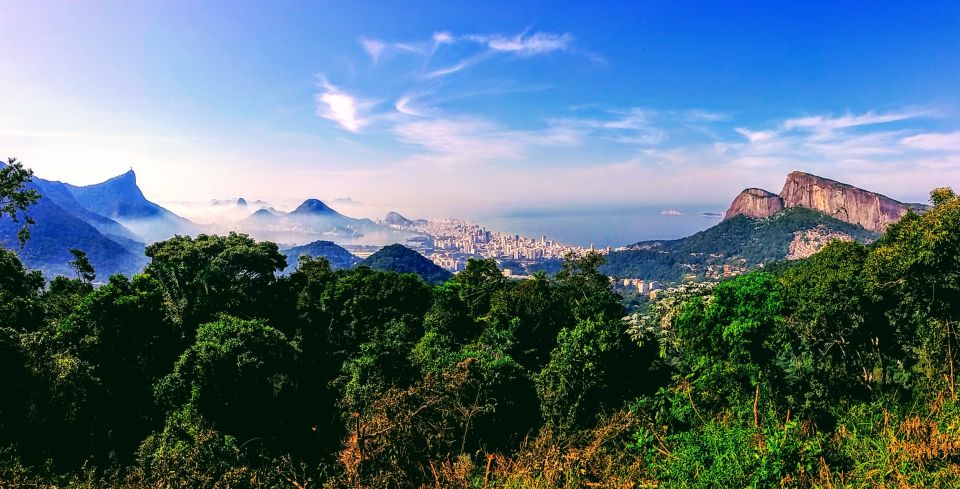 Rio: Tijuca National Park Small-Group Hike to Pedra Bonita - The forest story: coffee farms, reforestation, and why this place survived Rio