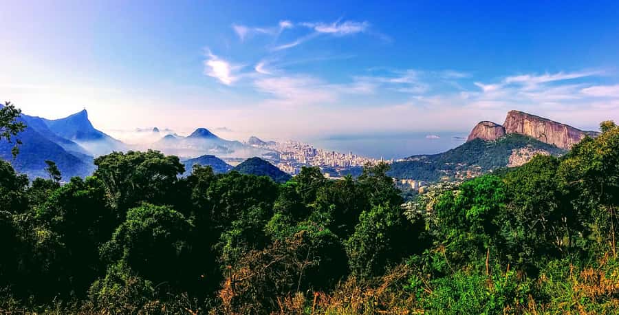 Rio: Tijuca National Park Small-Group Hike to Pedra Bonita - How long it really feels: 5 hours total, about 2 hours walking