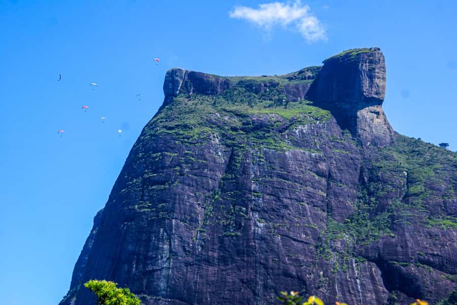 Rocinha Jeep Tour: A Journey into the Soul of the Favela! - The favela lecture and guided walk: what you’re supposed to learn