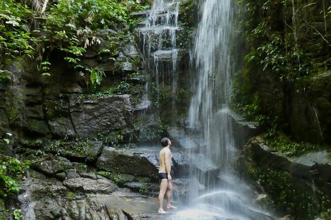 Tijuca Forest Hike - Waterfalls & Caves, Nature & Wild Life! - Cristalina and Baronesa waterfalls: your mid-hike water reward
