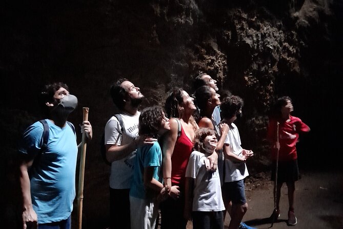 Tijuca National Park and all its wonders - Price and Value: What $68.67 Buys You