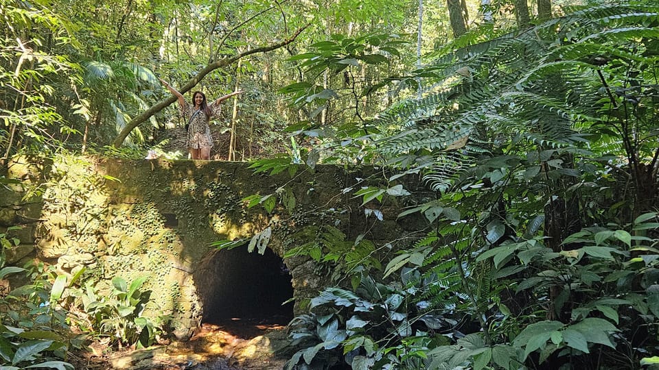 Tijuca National Park and all its wonders! - How the hike distance (6 to 12 km) really changes your day