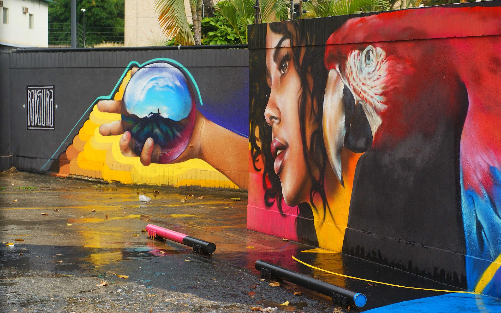 Arte Urbano En Río: Murales Y Grafitis Que Cuentan Historias